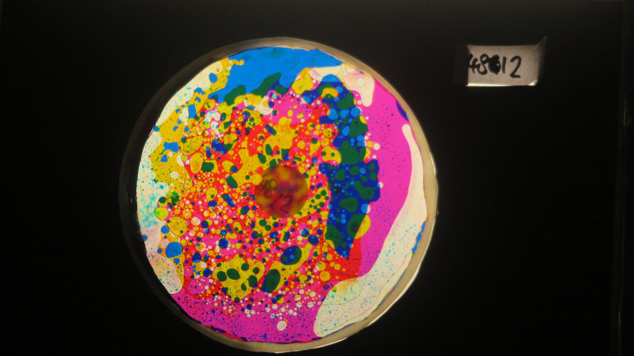 BV4812 bubble vision oil wheel